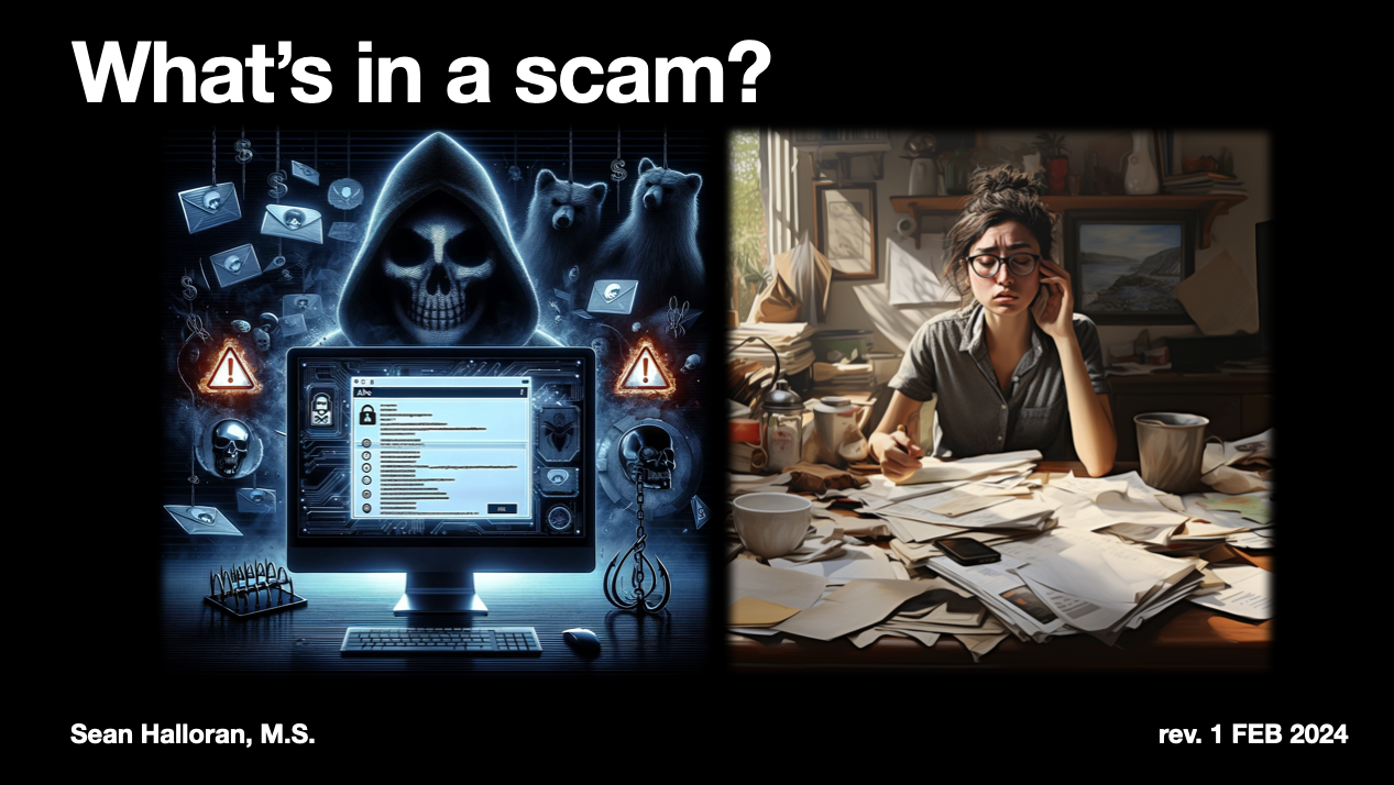 Slide with text: "What's in a scam?", written by Sean Halloran revised 1 FEB 2024